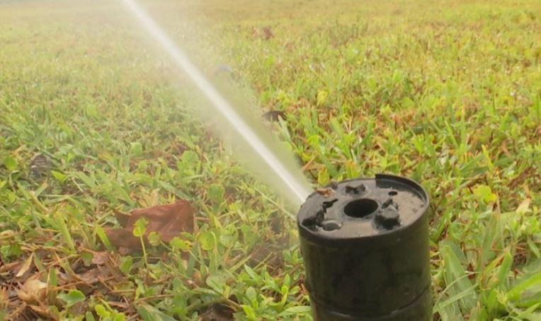 Canals up, but Cape lawn watering rules unchanged - Wink News