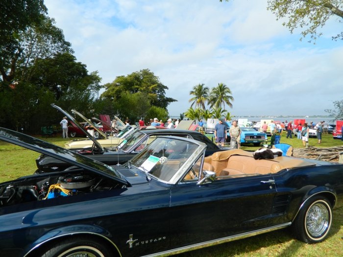 Edison Ford Antique Car Show - WINK NEWS