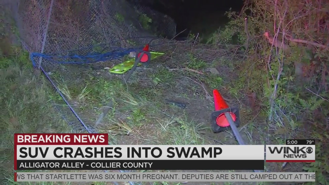 Suv Crashes Into Swamp On Alligator Alley Road Reopens