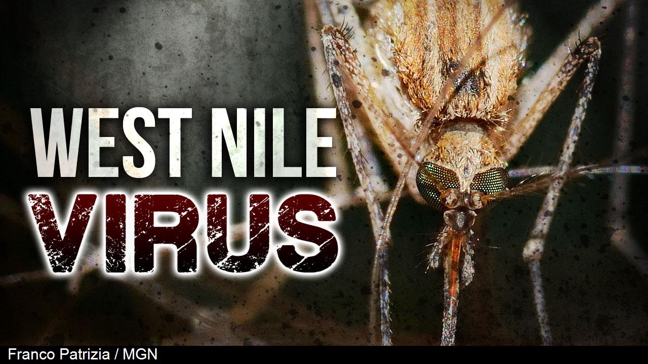 First Person Tests Positive For West Nile In Pinellas County