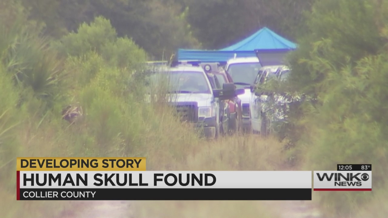 human remains found