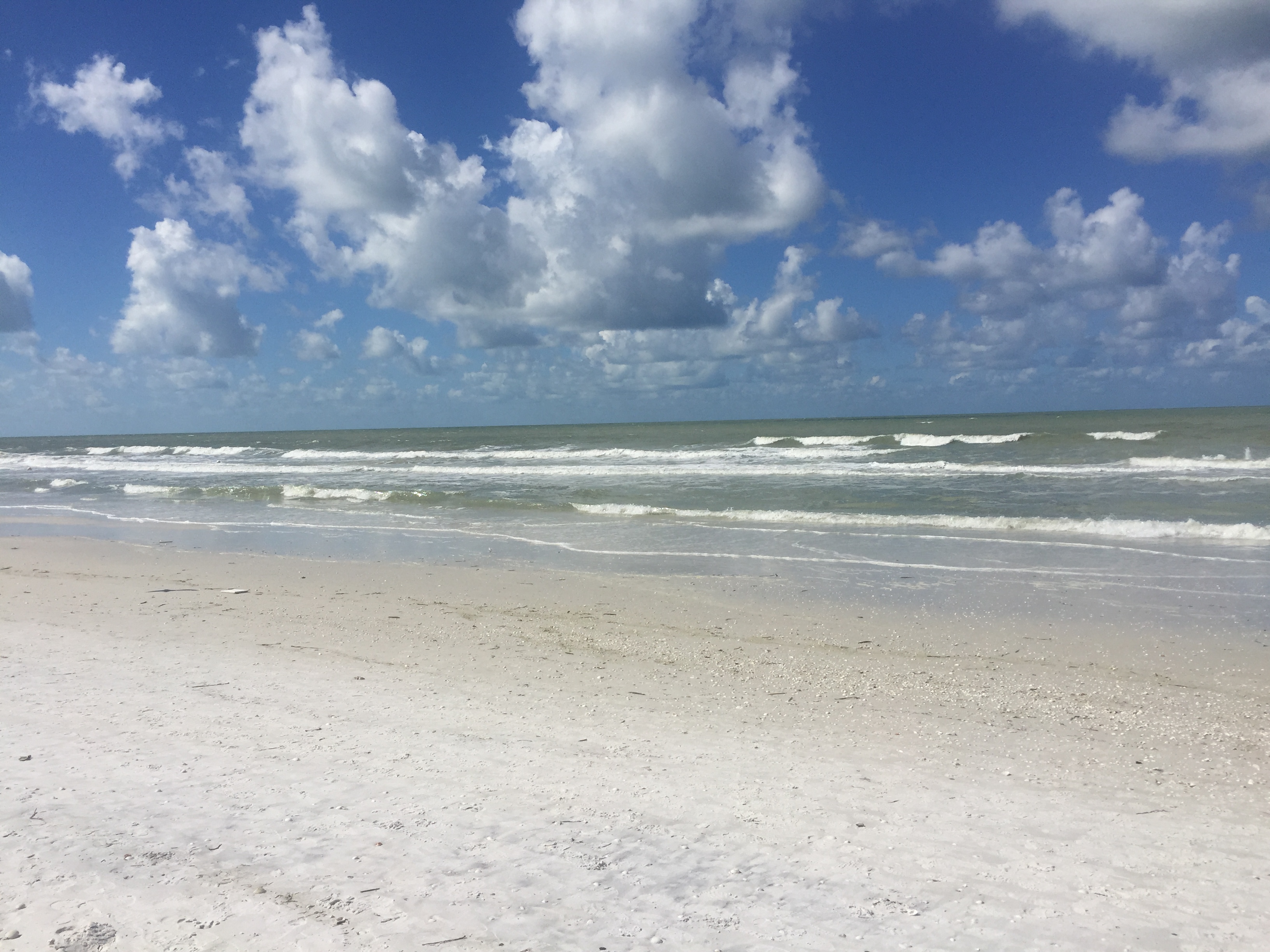 Rip current cancels swim portion of Marco Island race