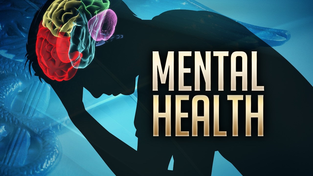 Florida Mental Health Services Image