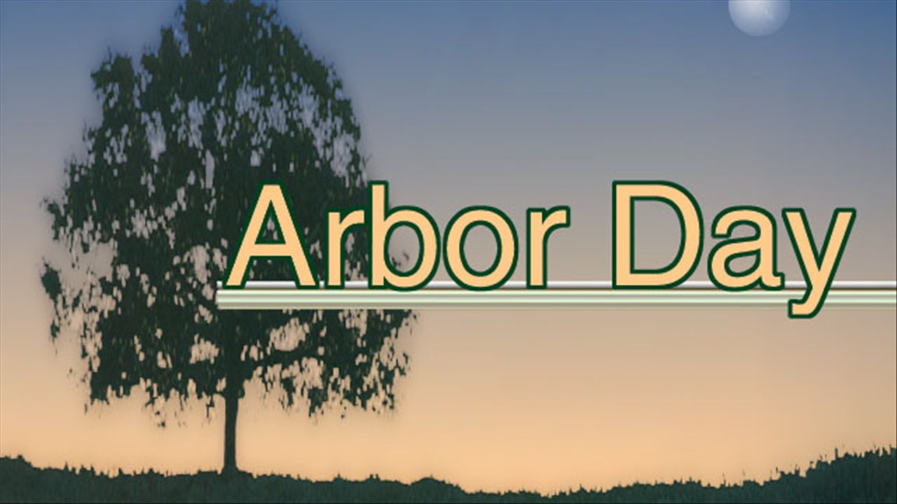 Free Trees For Arbor Day