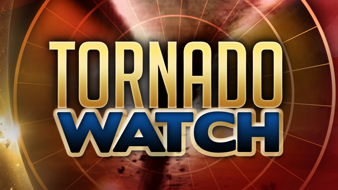 Southwest Florida under tornado watch | WINK NEWS