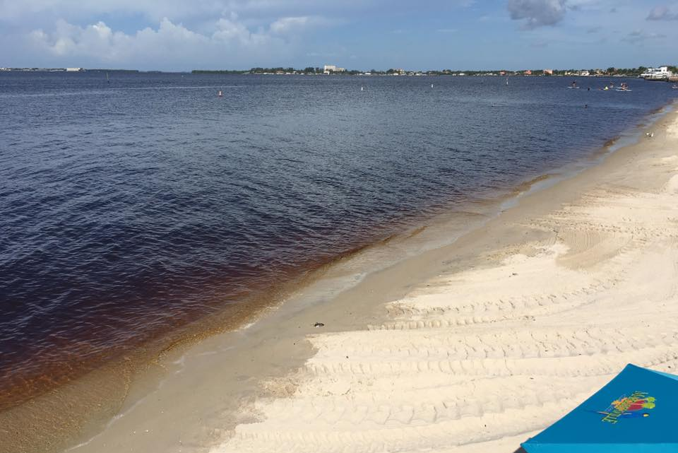 Cape Coral Yacht Club beach tests high for bacteria