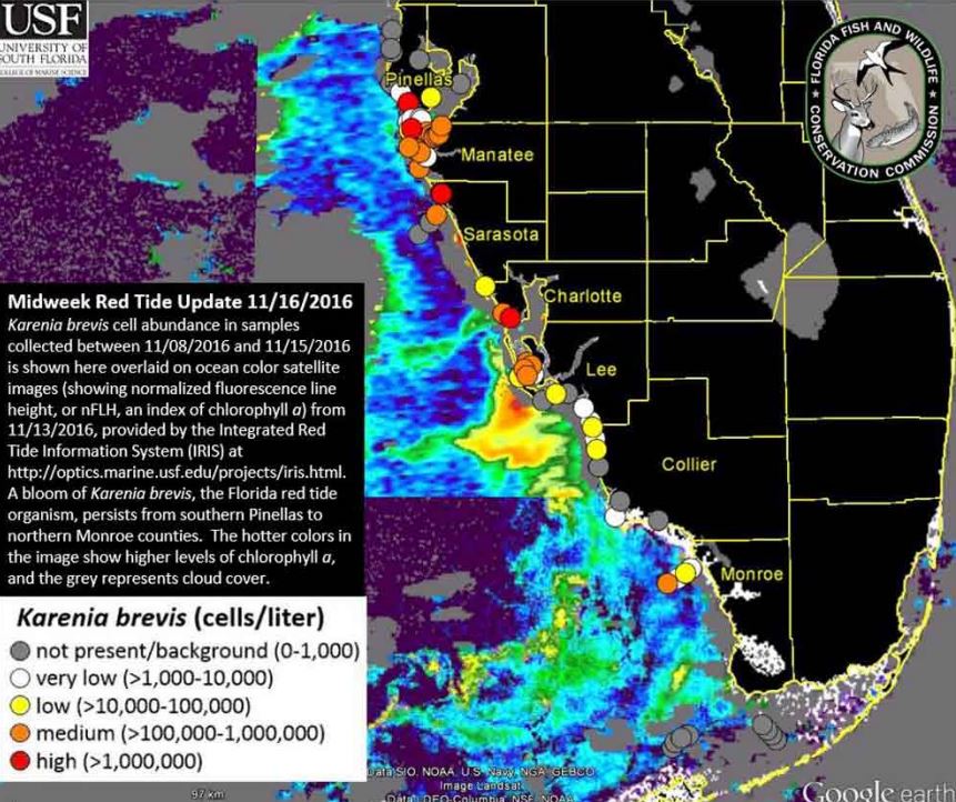 red tide florida map now