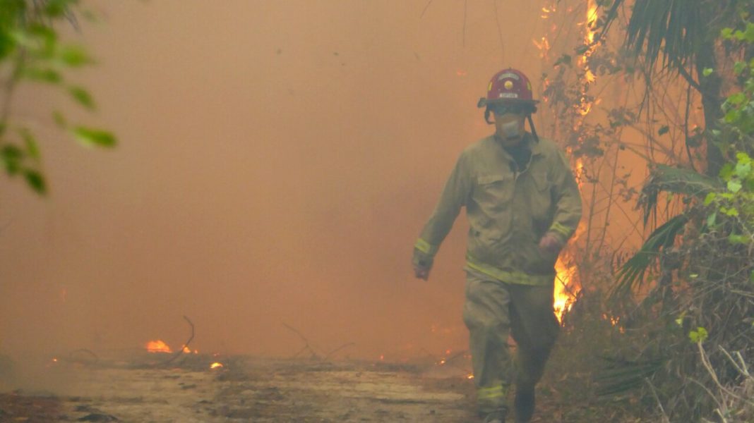 Golden Gate Estates Fire 85 Percent Contained