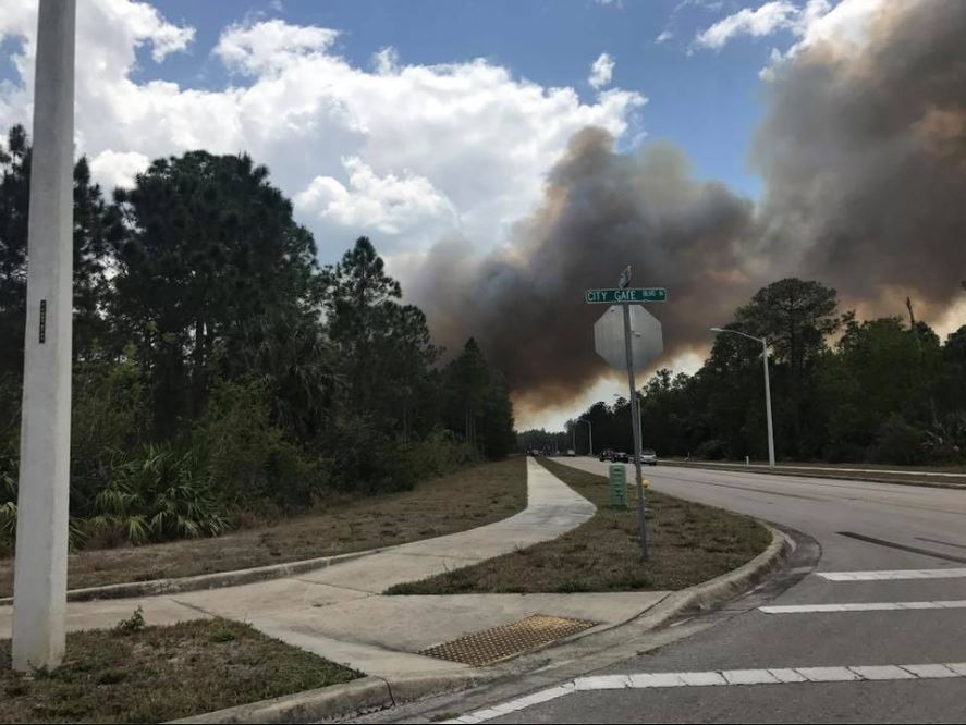 Crews Contain Naples Brush Fire