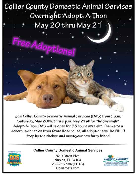 Collier Domestic Animal Services Overnight Adopt A Thon Wink News