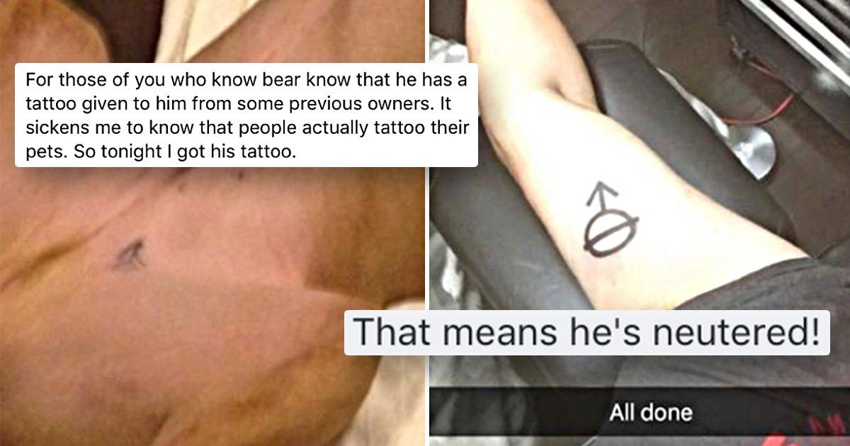 Man gets same 'neutered' tattoo as his dog, has no regrets