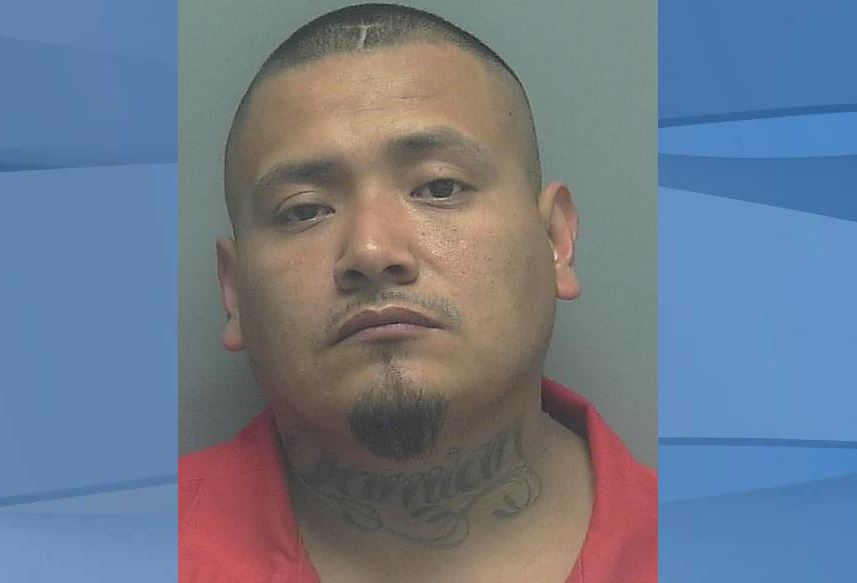 Lee County gang member arrested in drug bust