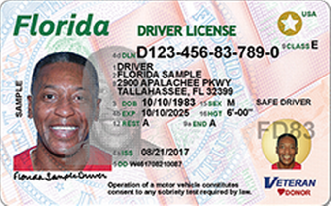 status of drivers license florida