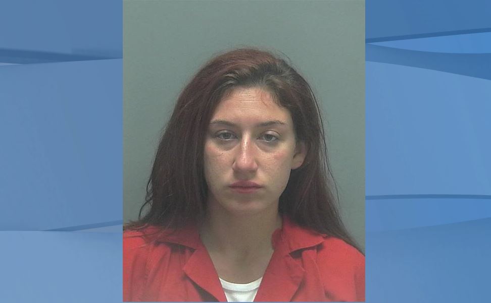 Bonita Springs Woman Arrested In Deadly Hit And Run 