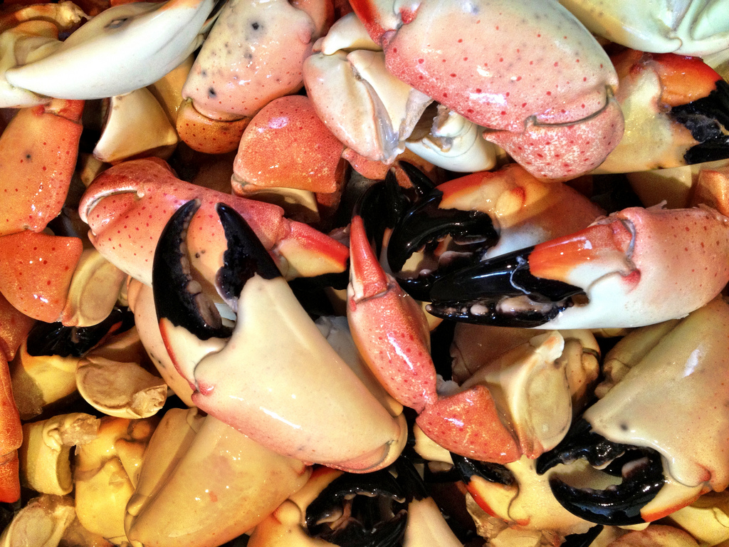 Florida stone crab season off to a slow start