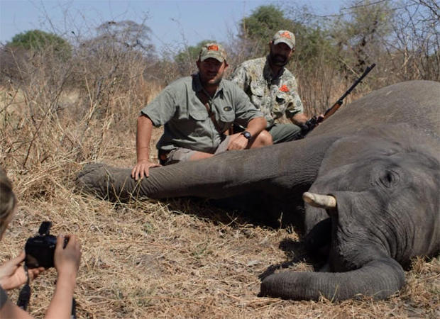 big game hunter crushed by elephant
