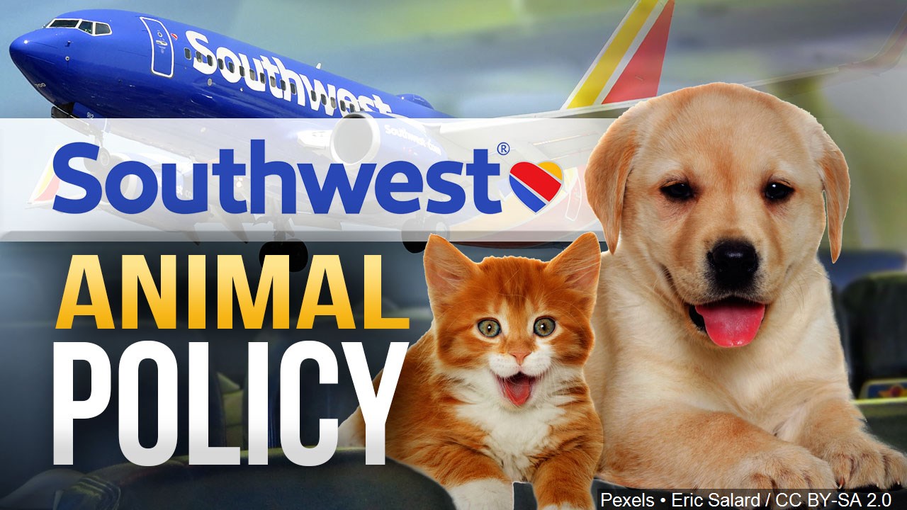 Southwest Airlines bans exotic emotional support animals