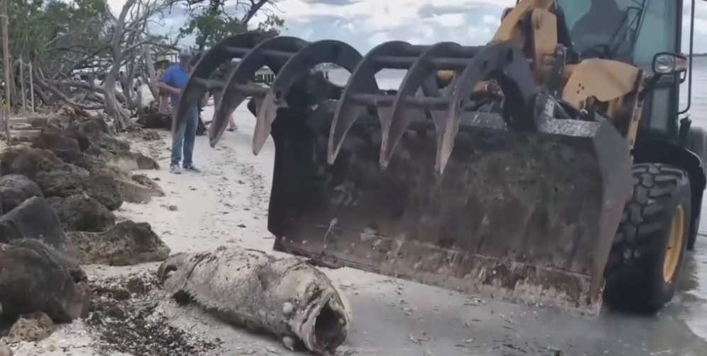 Red tide cleanup efforts on Sanibel continue into second week