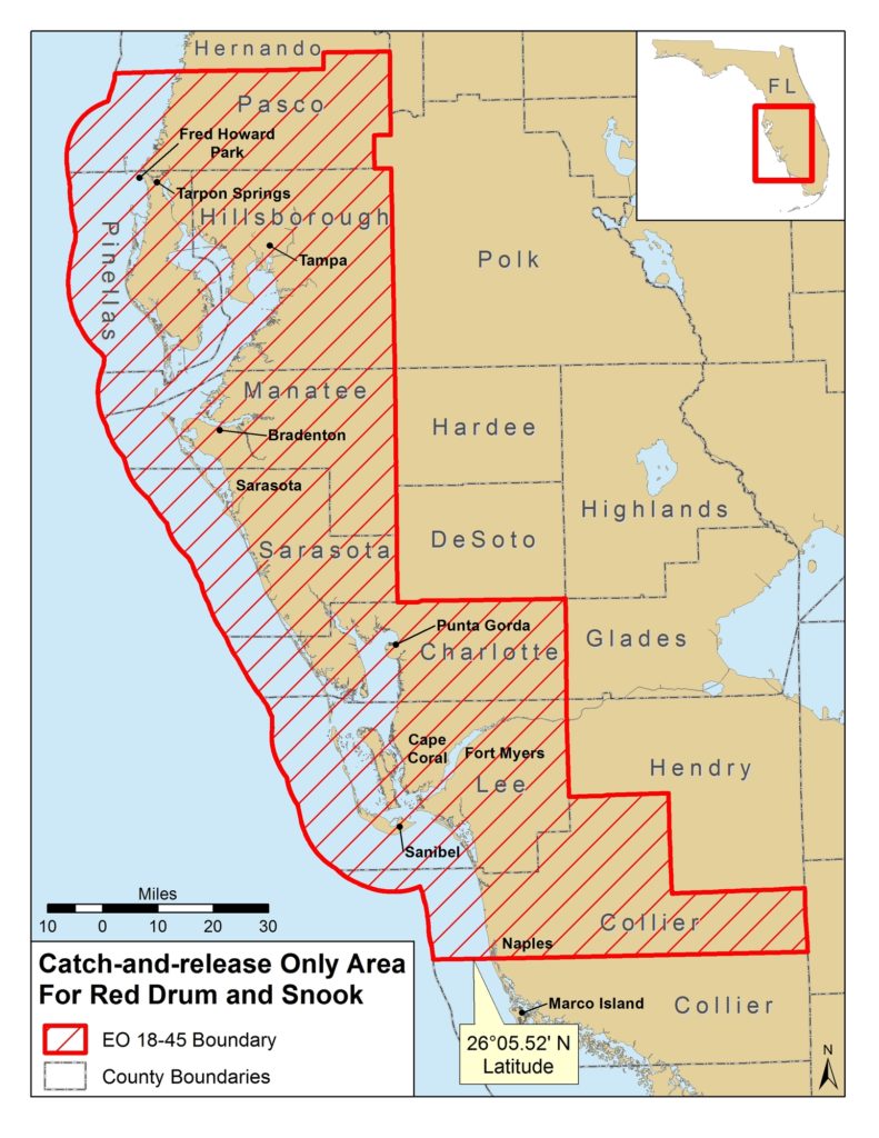 FWC expands catch-and-release measures due to red tide