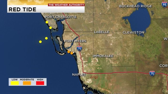 red-tide-conditions-looking-better-on-fort-myers-beach