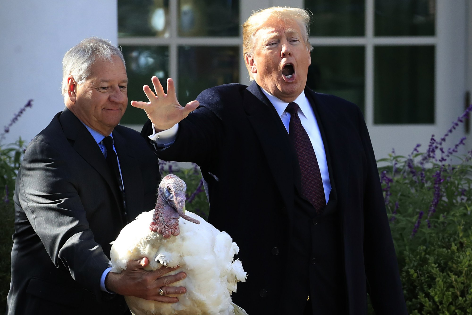 Trump grants poultry pardons to turkeys Peas and Carrots
