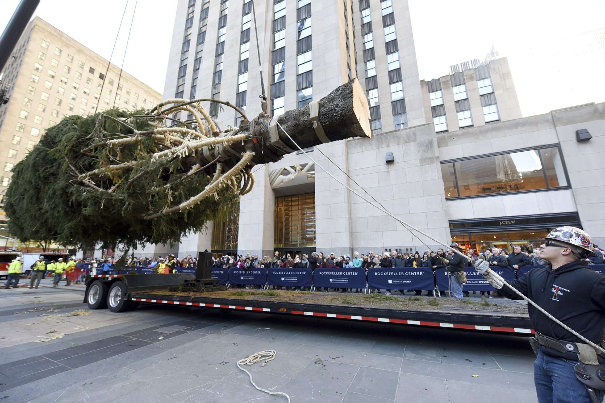 Rockefeller Center Christmas trees get second life after the holidays