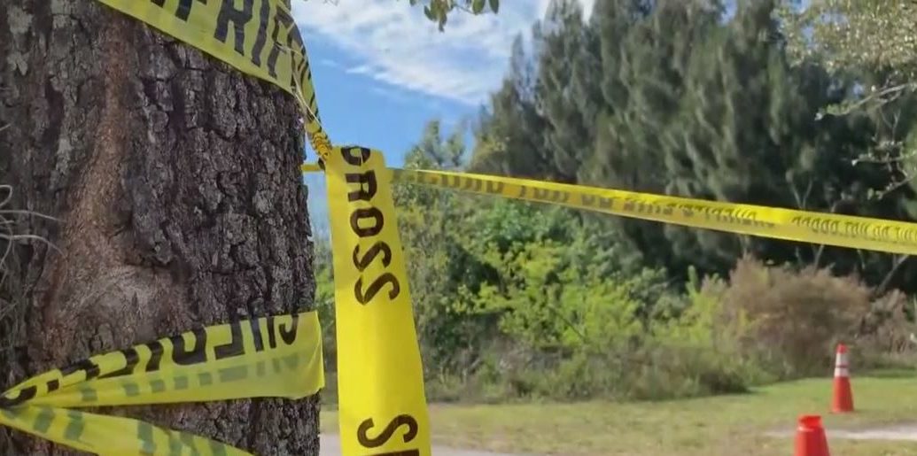 Investigators, cadaver dogs comb the woods for missing Christine Flahive