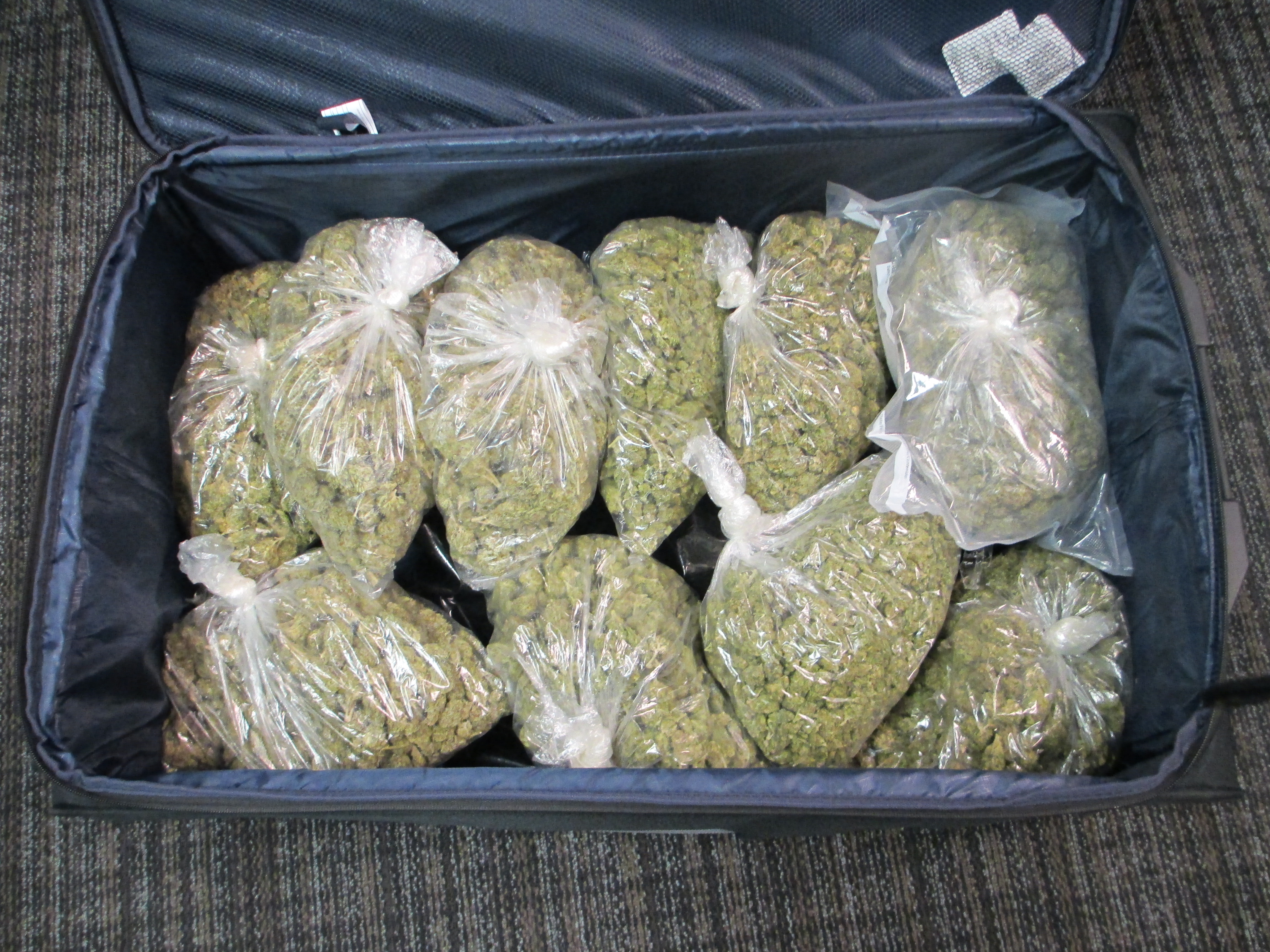 California man arrested with 10 pounds of marijuana in Estero