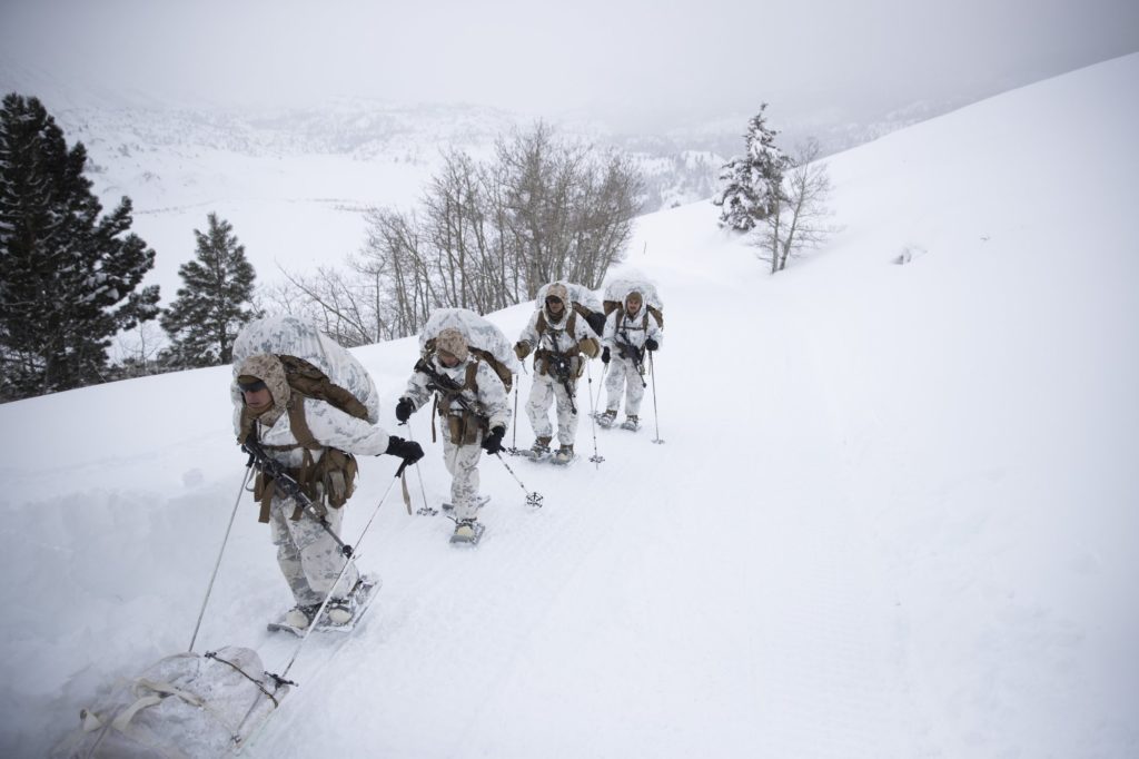 A group of U.S. Marines walk along a snow-covered trail during their advanced cold-weather training at the Marine Corps Mountain Warfare Training Center Sunday, Feb. 10, 2019, in Bridgeport, Calif.  (AP Photo/Jae C. Hong)