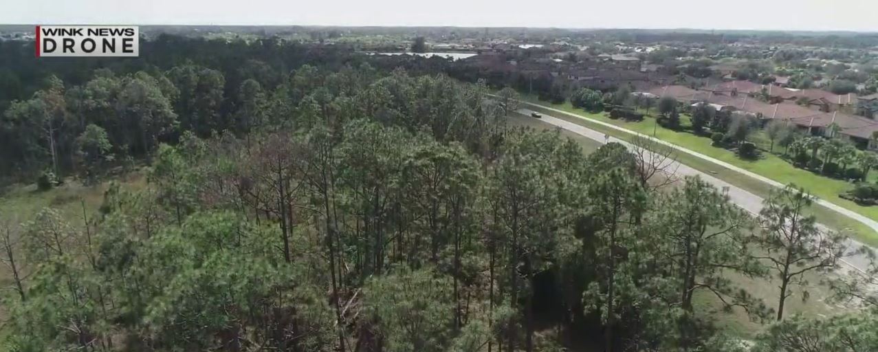 Site of a future Lee County school. (WINK News photo)