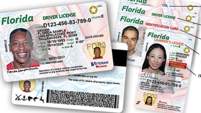 dmv of florida license check