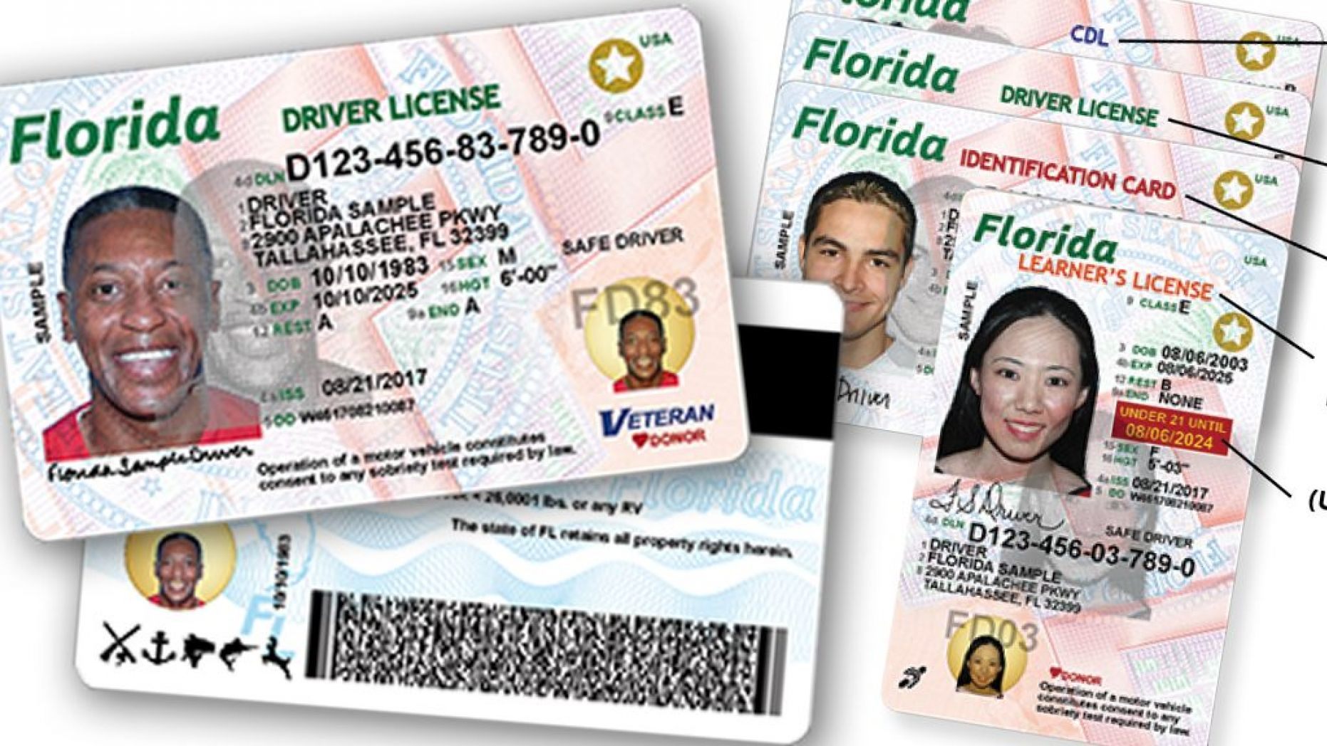 florida temporary driver license