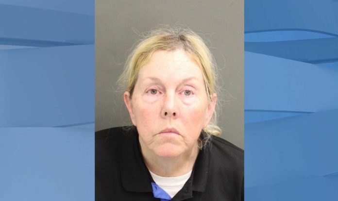 Florida woman accused of using gun to defend her right to feed stray cats