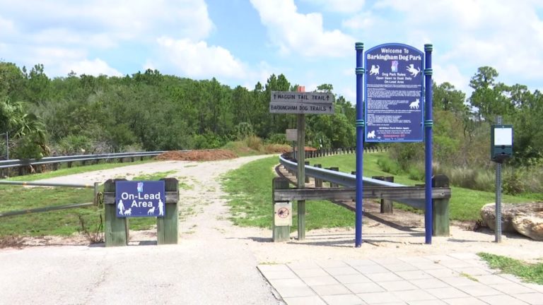 Lee County dog parks begin size restrictions within large, small dog areas