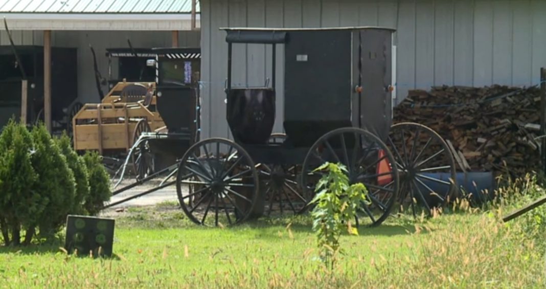 Two Amish men flee from deputies after being spotted