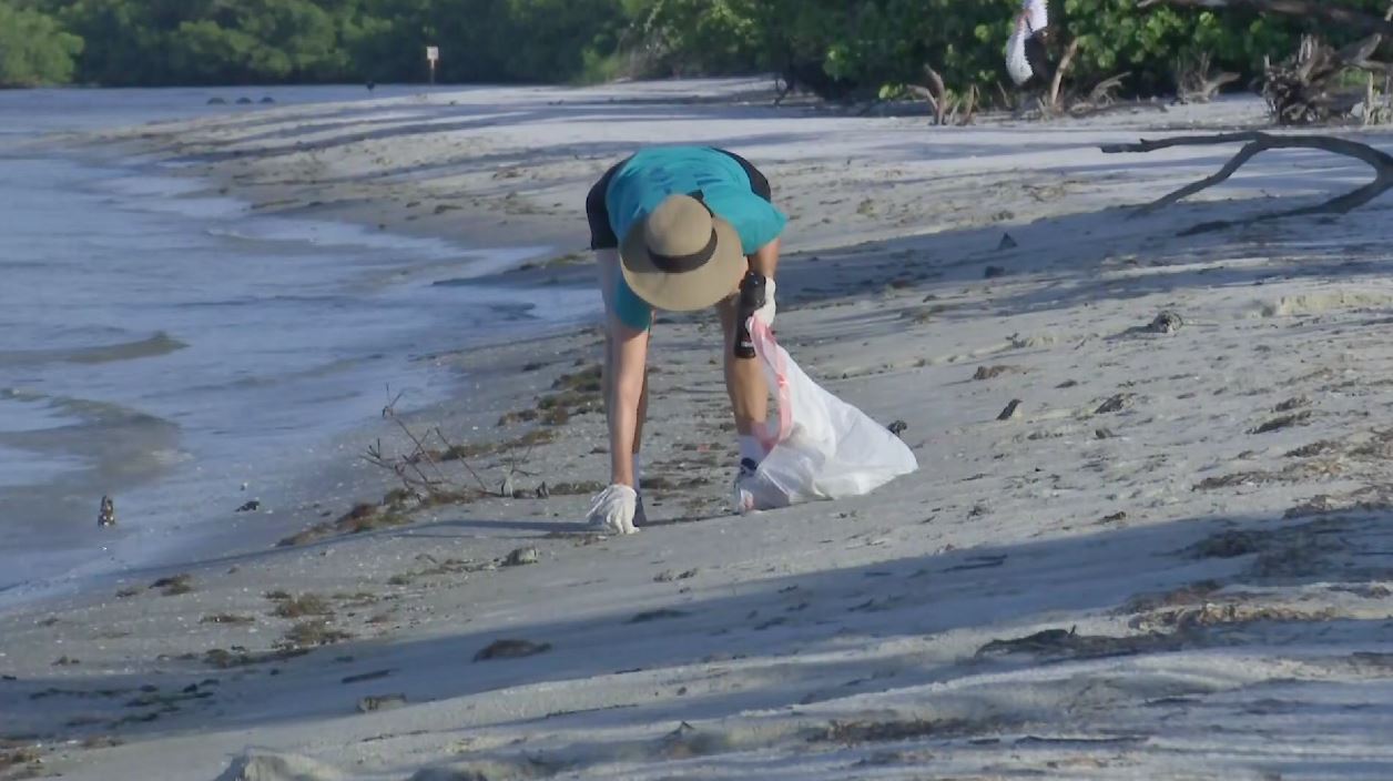 Swfl Volunteers Join Global Effort To Keep Oceans Beautiful With Beach Cleanup 3668