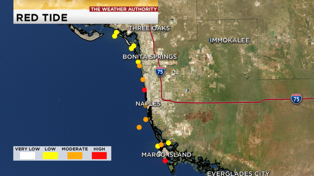 Red tide on Marco Island presents issue for marine life, birds WINK News