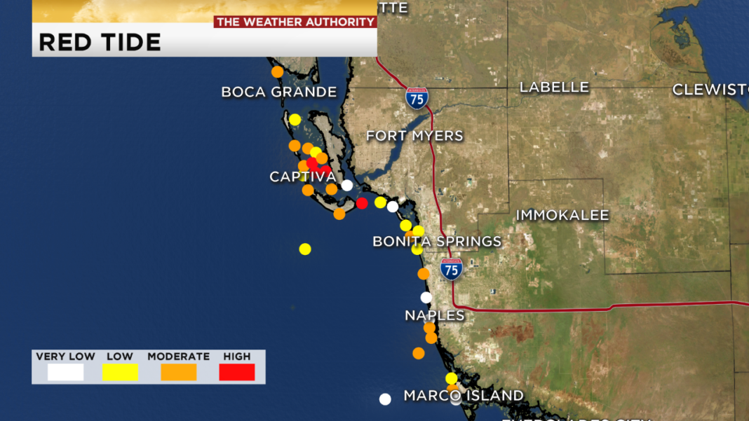 Sanibel's Lighthouse Beach seeing high concentrations of red tide, sick