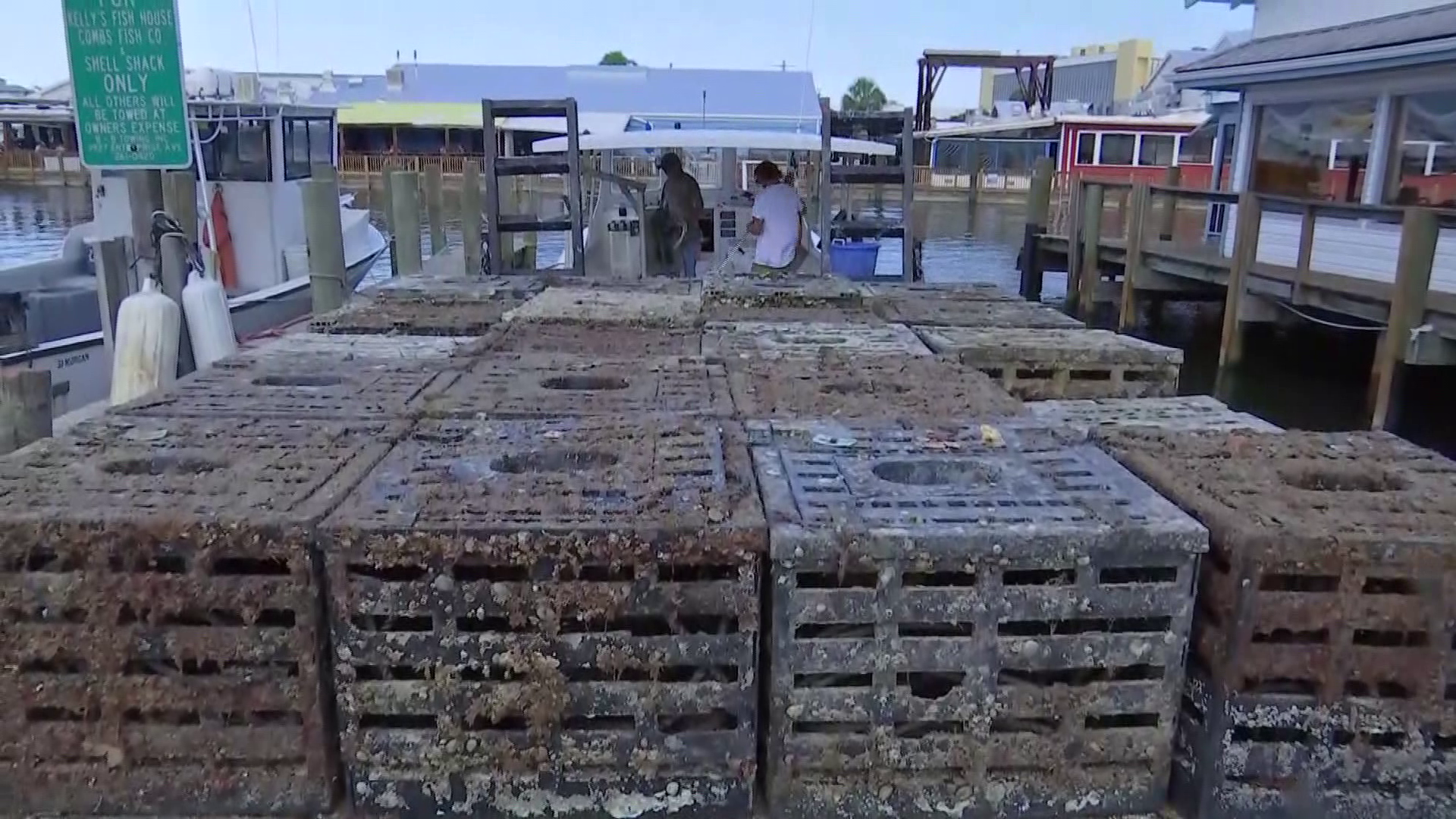 Stone Crab Season Off To A More Prolific Start Than Last Year WINK News   Vlcsnap 2019 10 15 16h26m03s254 