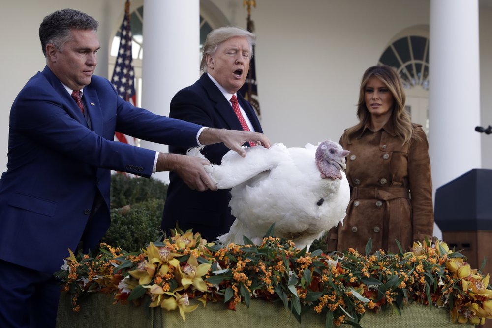 At pardoning ceremony, Trump jokes turkeys have been ...