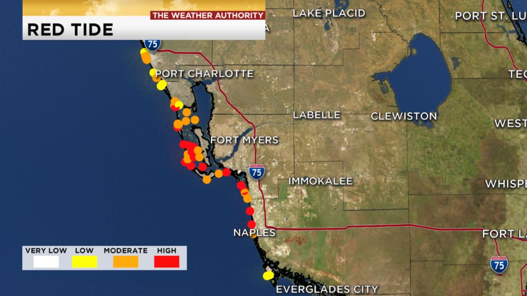 Red tide concentrations increase along SWFL coast
