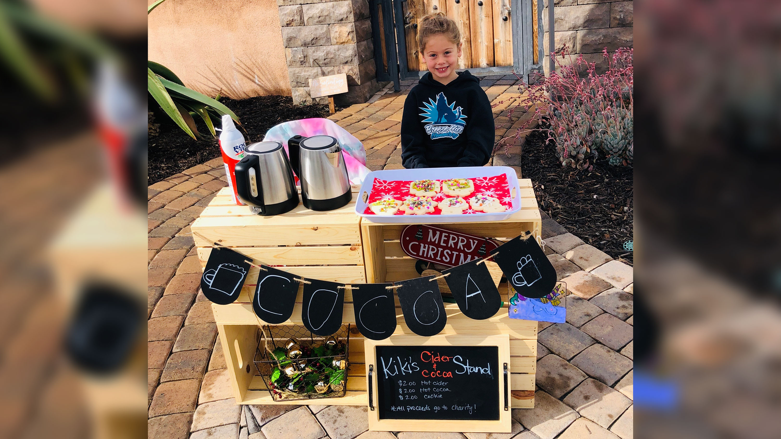 Katelynn Hardee, a 5-year-old kindergartner at Breeze Hill Elementary School, paid off the negative lunch balances of more than 100 students at her school. (Credit: Karina Hardee)