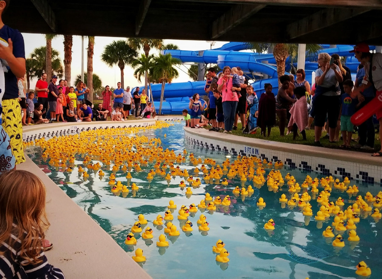 Ten thousand rubber ducks will be racing down the Sun-N-Fun Lagoon Lazy River in Naples on Saturday to raise money to prevent childhood drownings. (Credit: The Great Naples Duck Race)