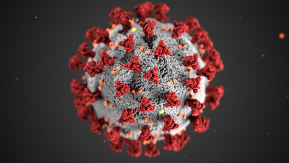 Where Did The Red And Gray Coronavirus Image Come From And Why Does It Look Like That