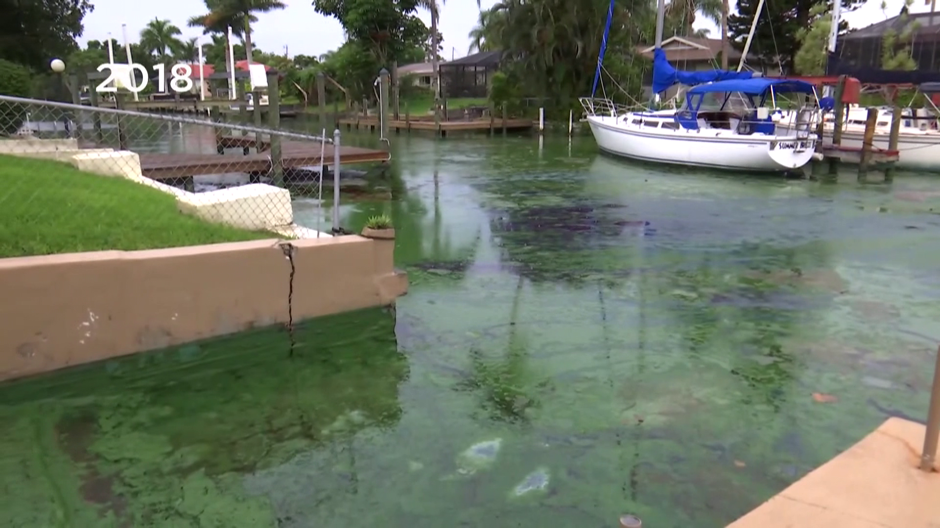 'Clean Waterways Act' passes Florida Senate; what does it mean for the state? - Wink News