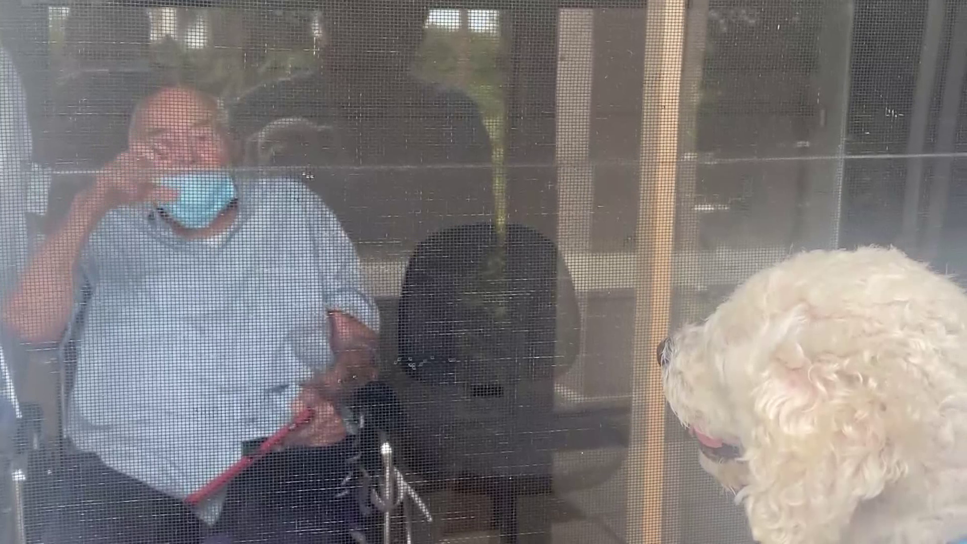 SWFL WWII vet reunited with beloved dog after a month apart