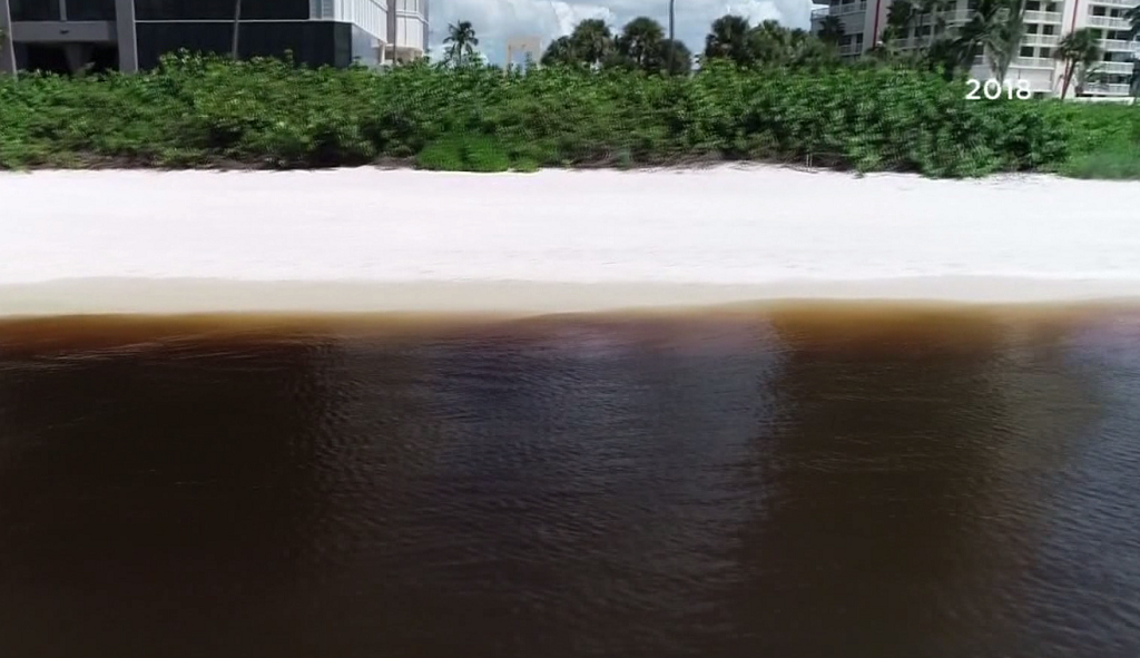 UF scientists work to develop device to monitor red tide - Wink News
