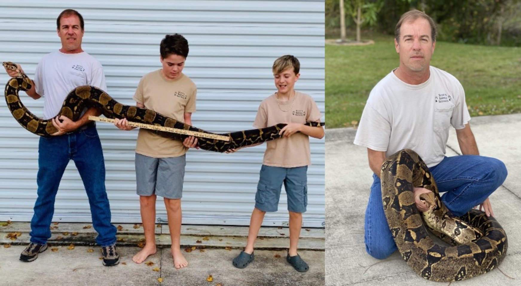 60 Pound Boa Constrictor Caught In Lehigh Acres