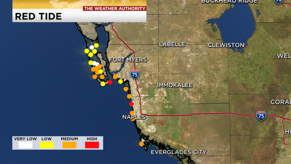 latest red tide map