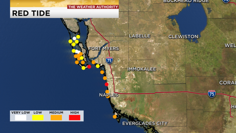 Red tide continues to plague Southwest Florida